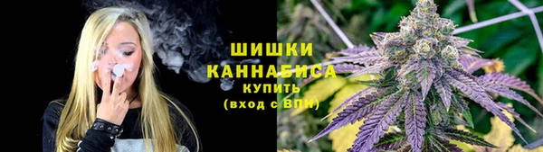 2c-b Белокуриха